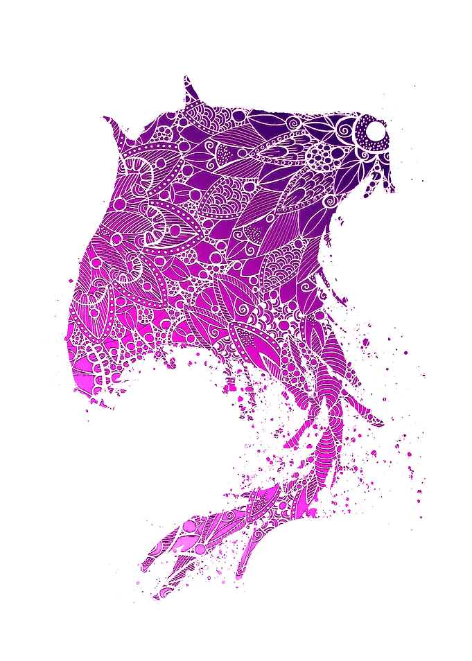 Purple Mandala Sting Ray
