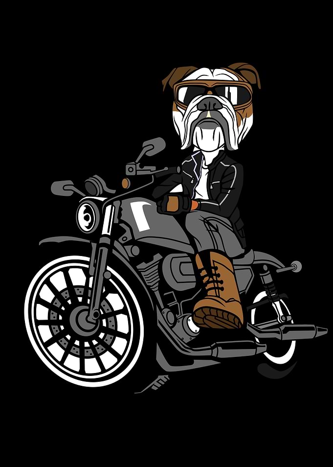 Motocyclist Meme