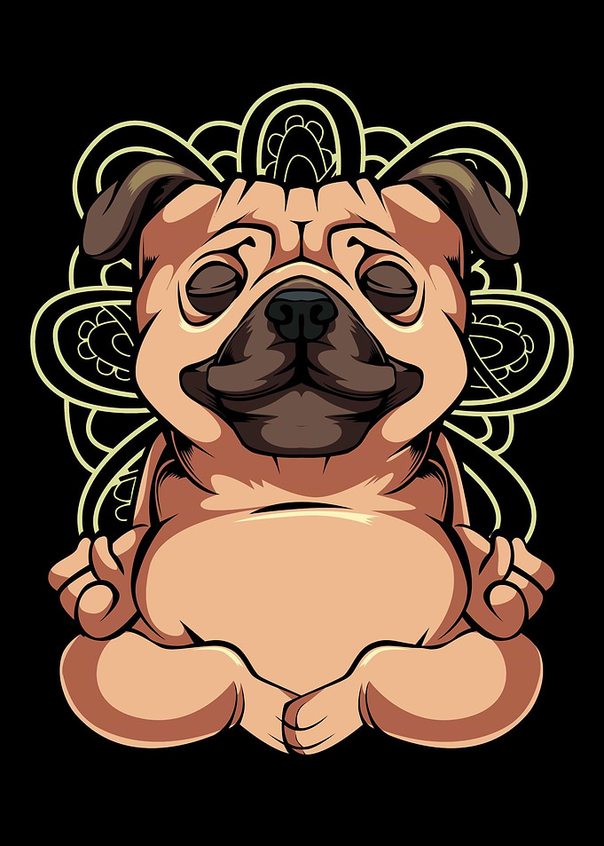 Pug Yoga Mandala Funny Spi