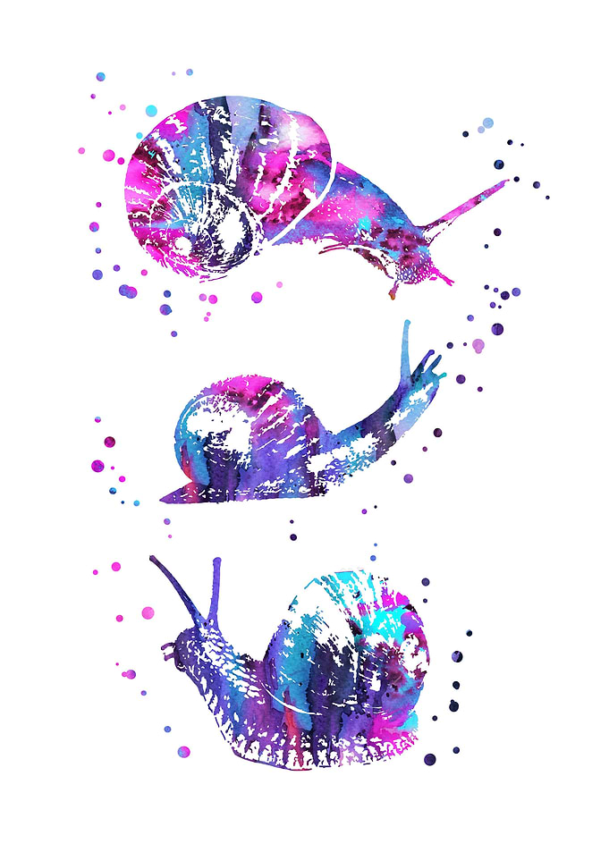Snail