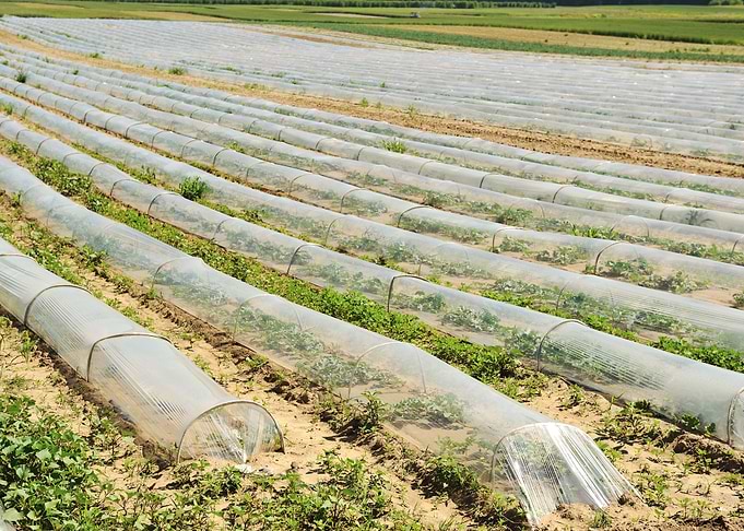 Agricultural Agriculture B