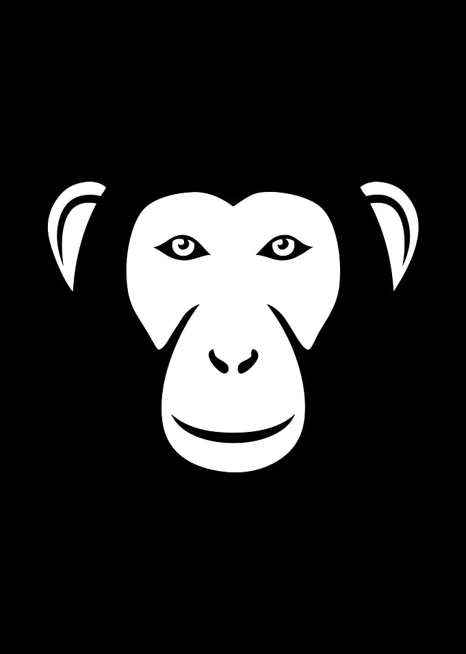 Monkey Motif