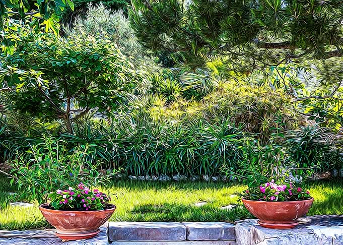 Mediterranean bush