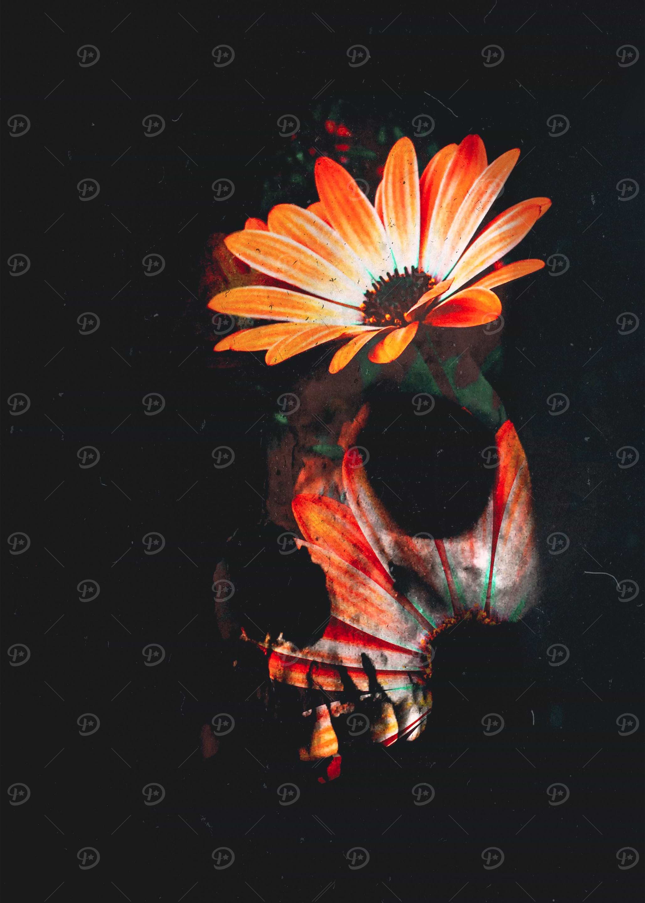 Evanescent