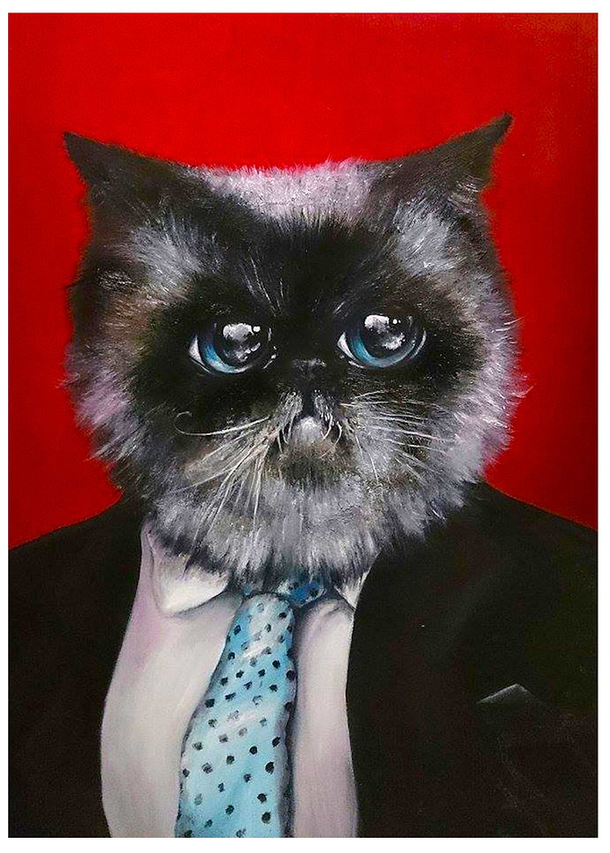 cat