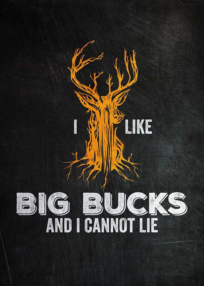 I Like Big Bucks