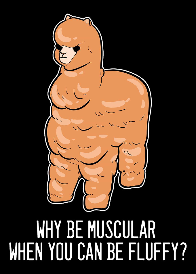Alpaca Fluffy Cute Fluffy