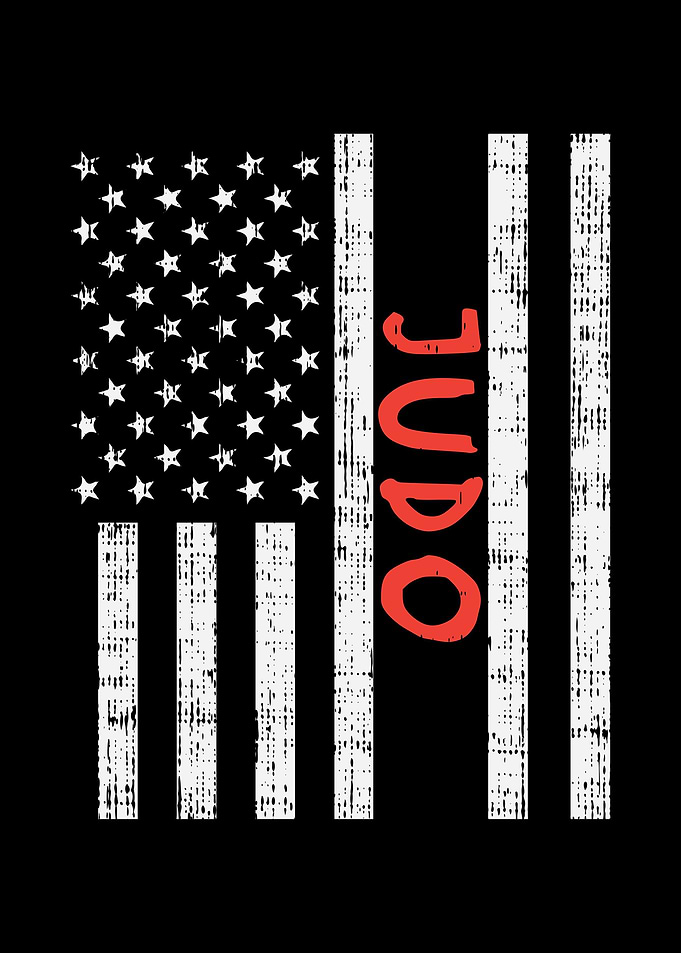 USA Flag Judo