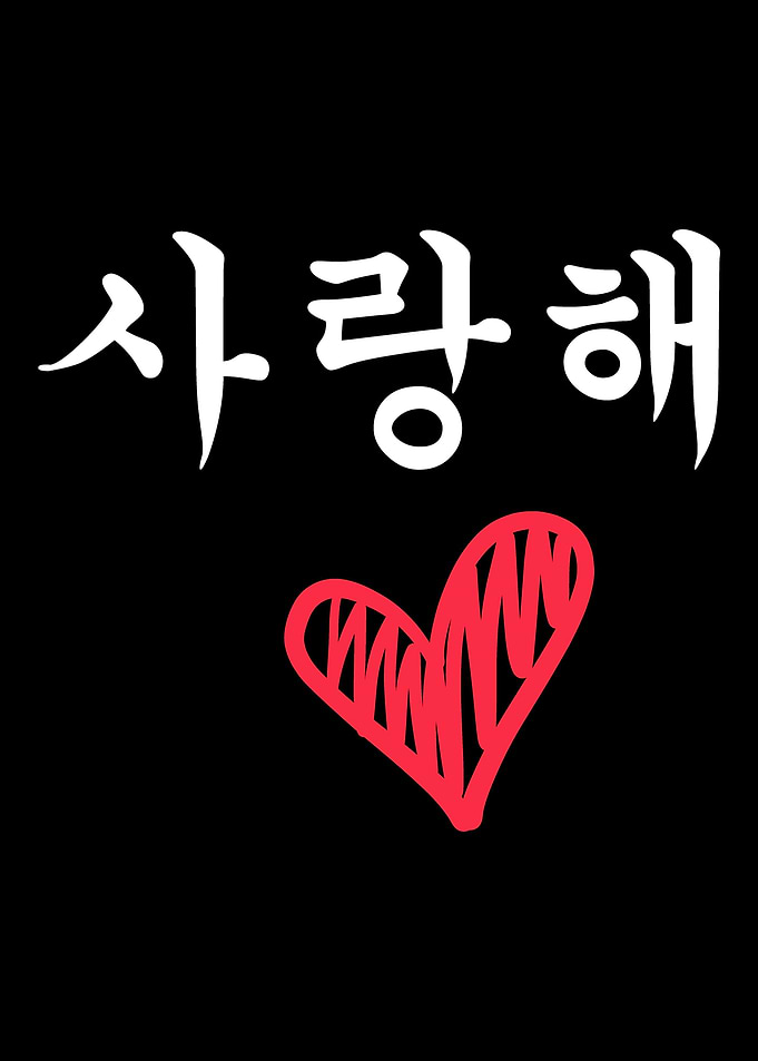I Love You In Korean Saran