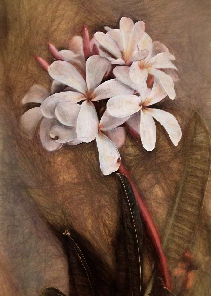 Pretty flowers