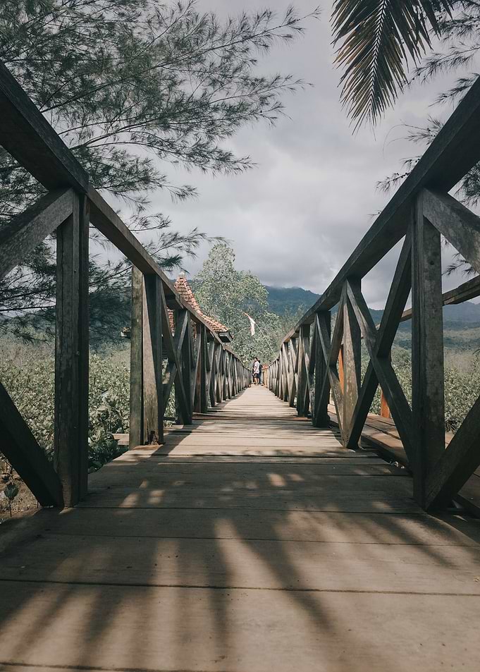 Mangrove