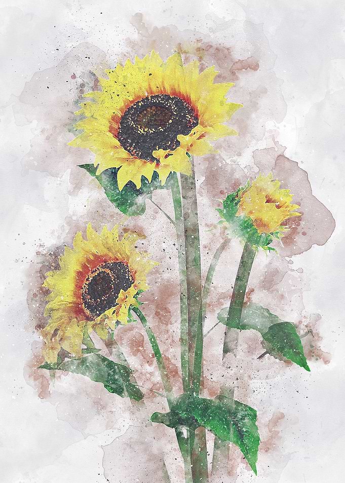 sun flowers art 3