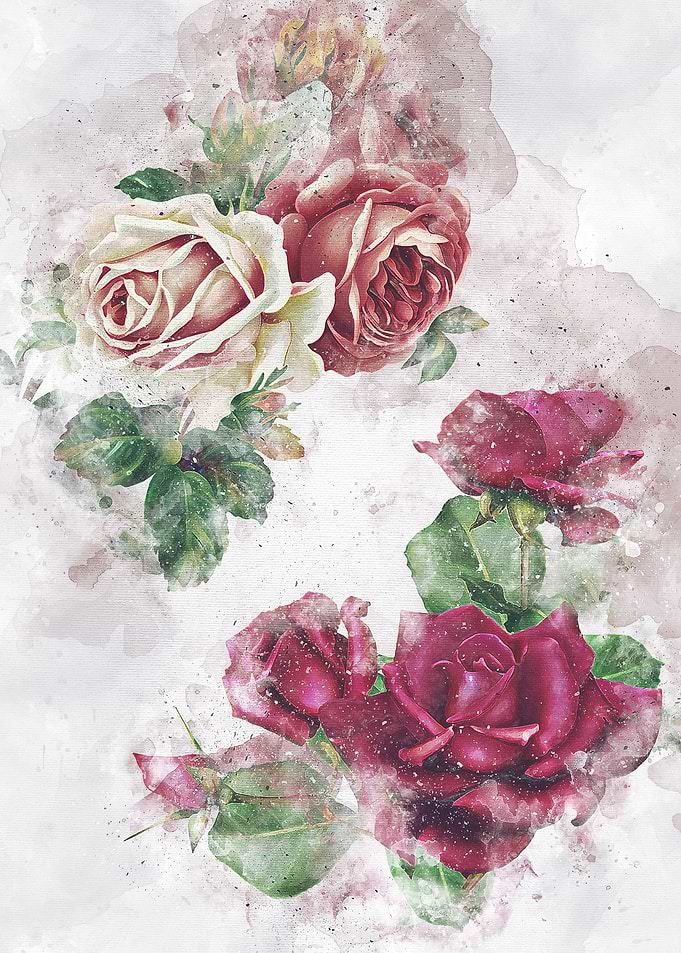 rose watercolor art 5