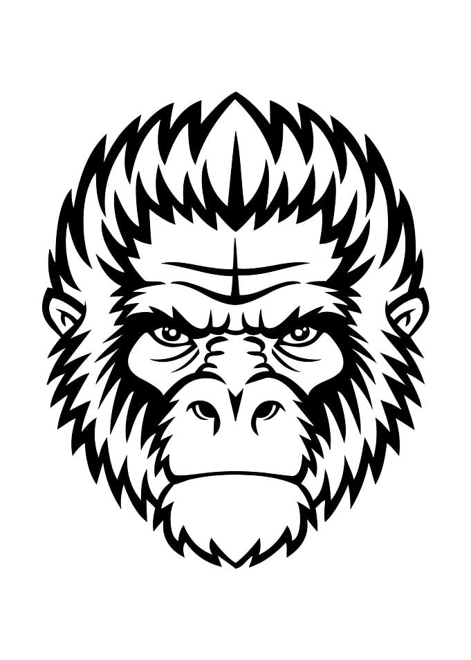 Monkey Motif