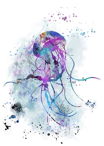 Jellyfish