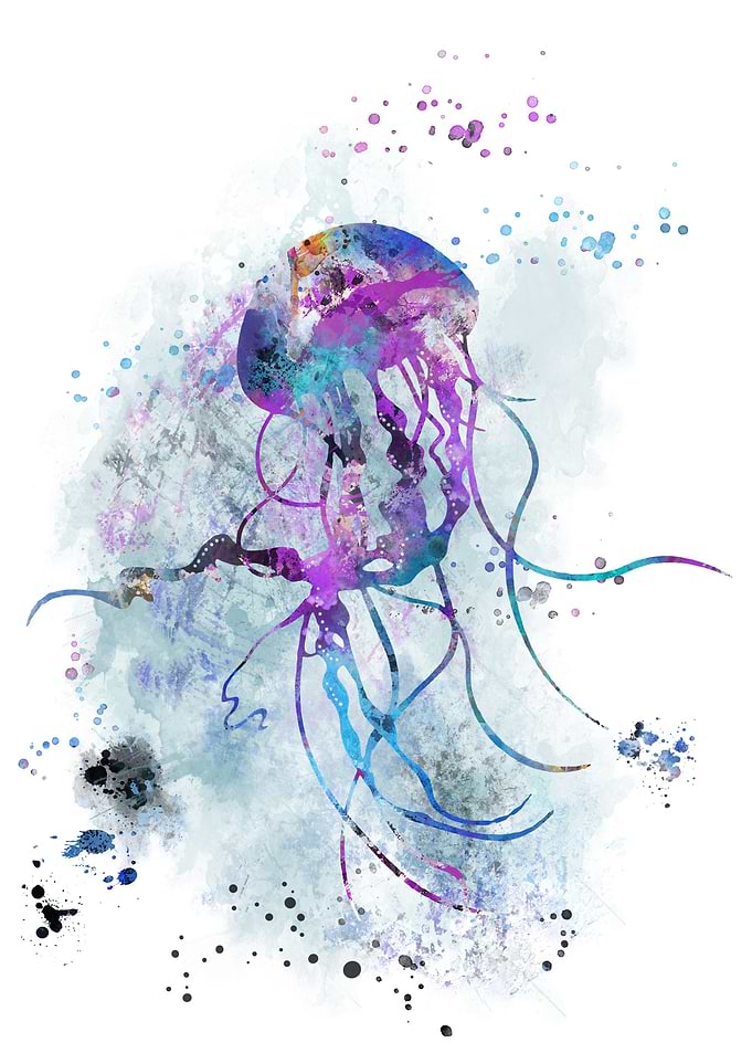 Jellyfish