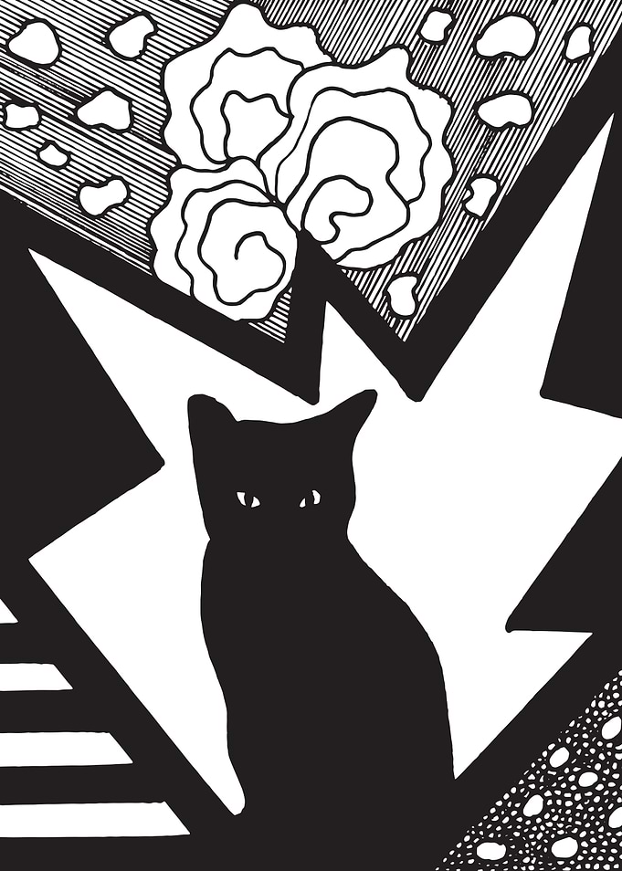 cat series 6