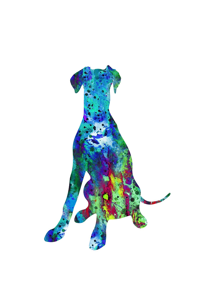 Doberman