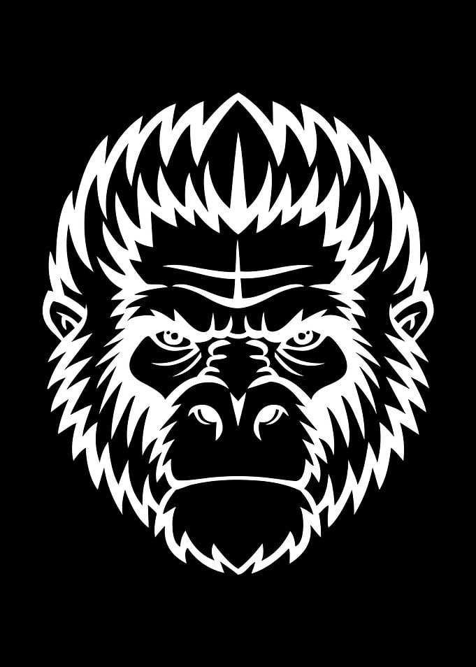 Monkey Motif