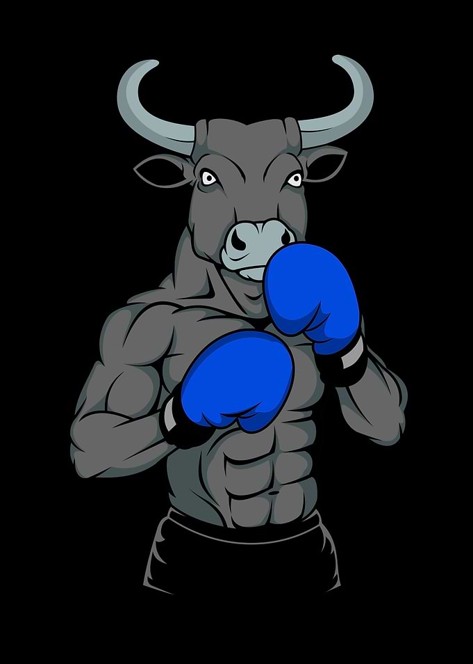 Boxer