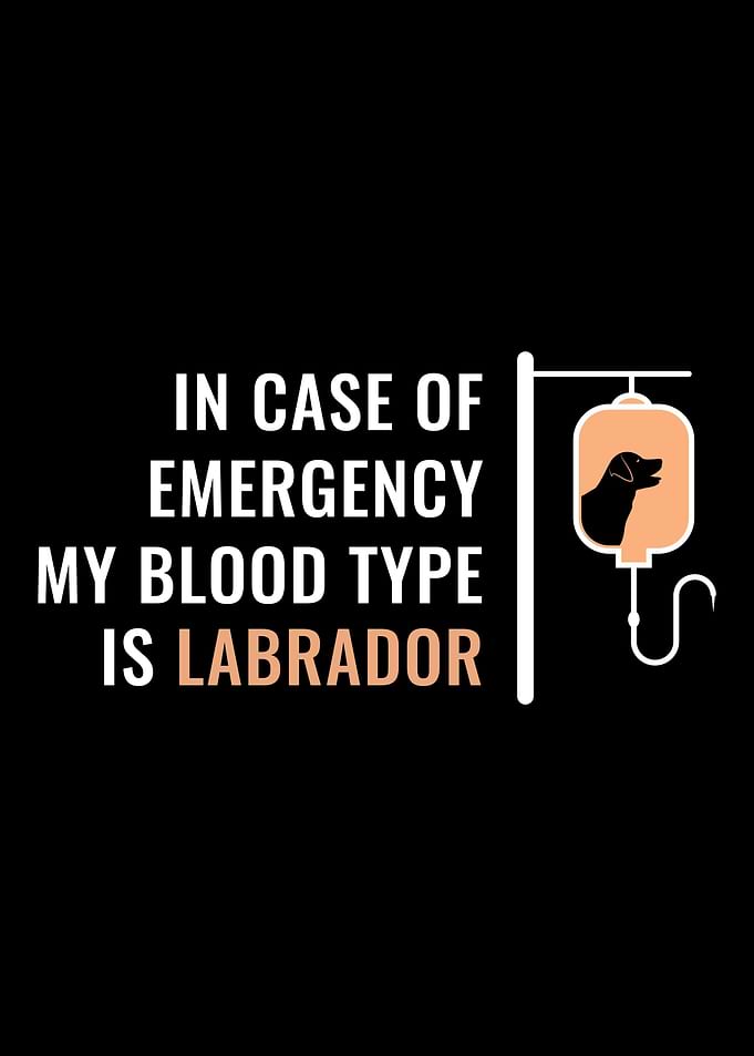 Funny Labrador Owner Gift