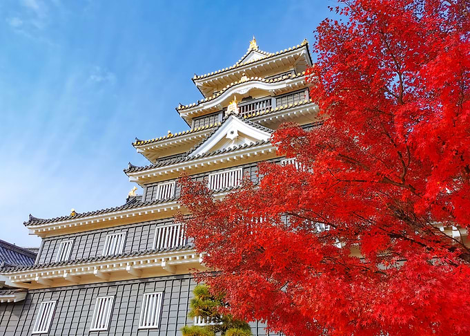 Castle Okayama