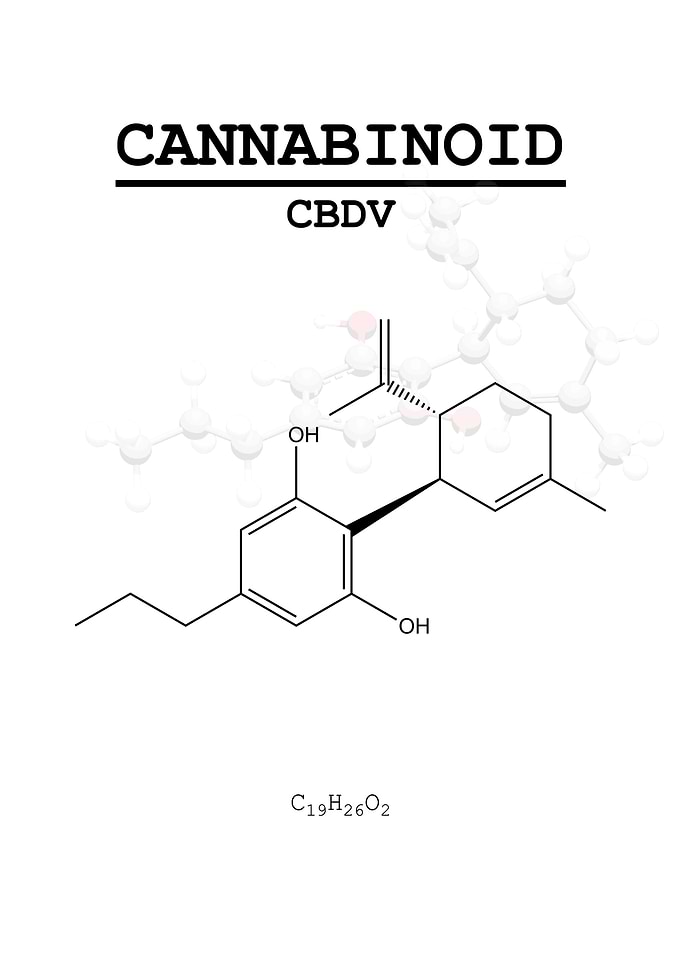 CBDV