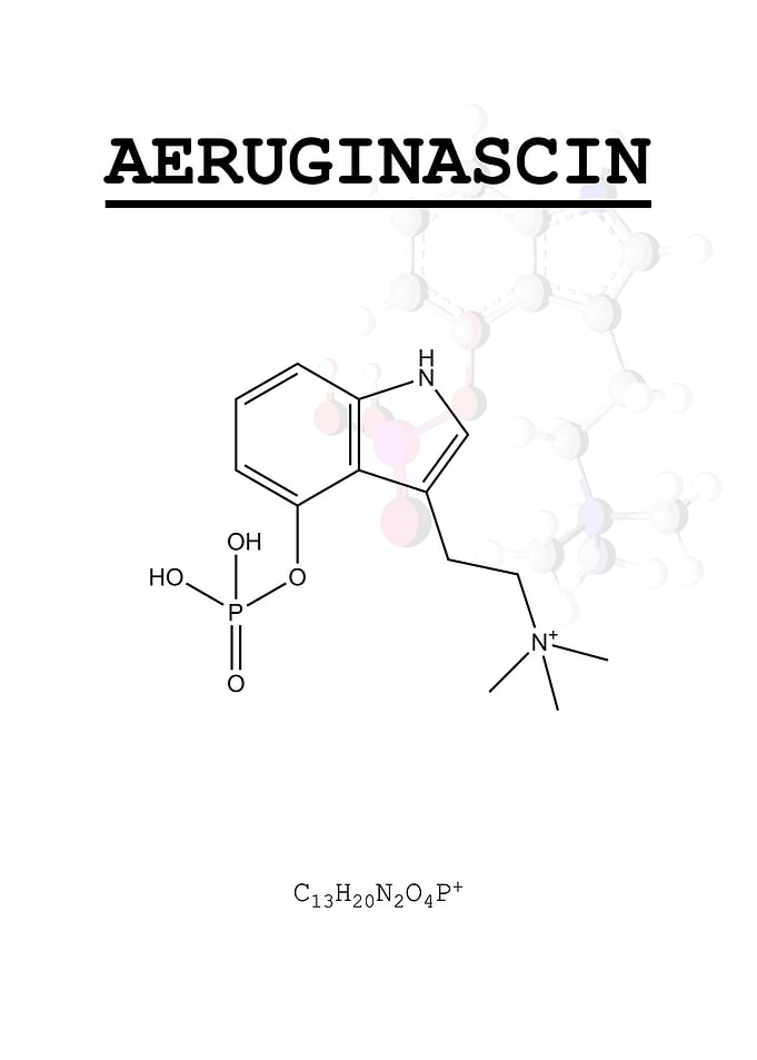 Aeruginascin