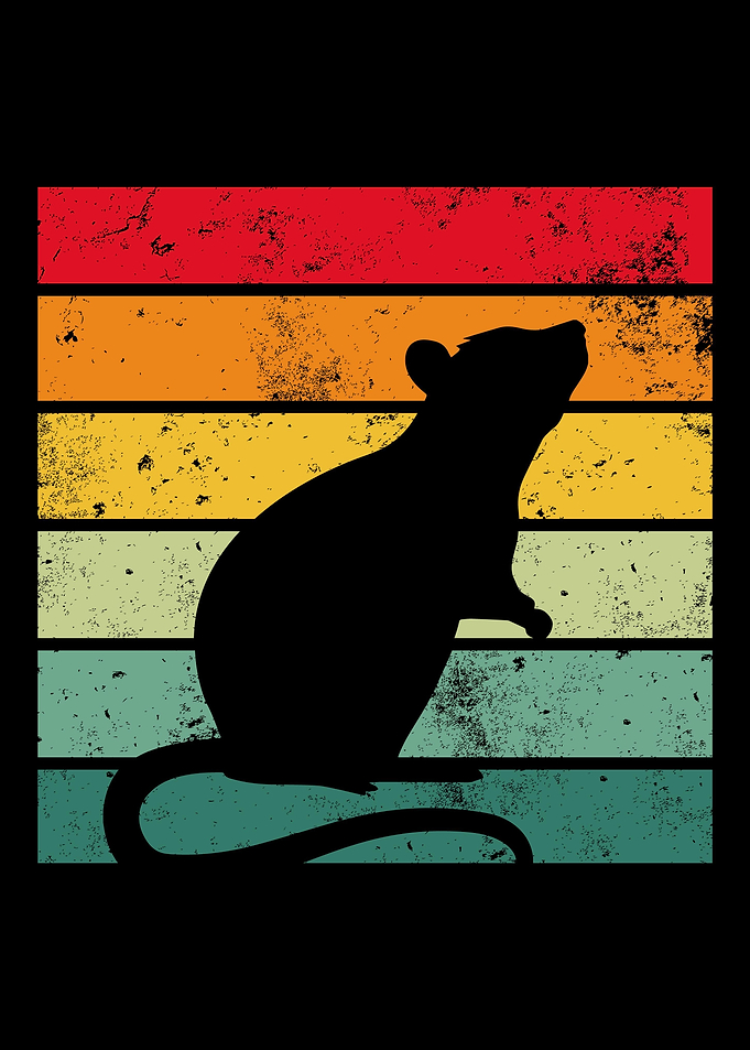 Ratte