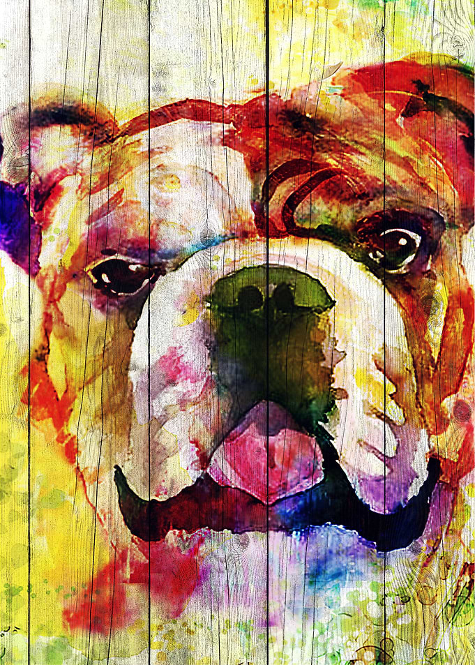 Bulldog