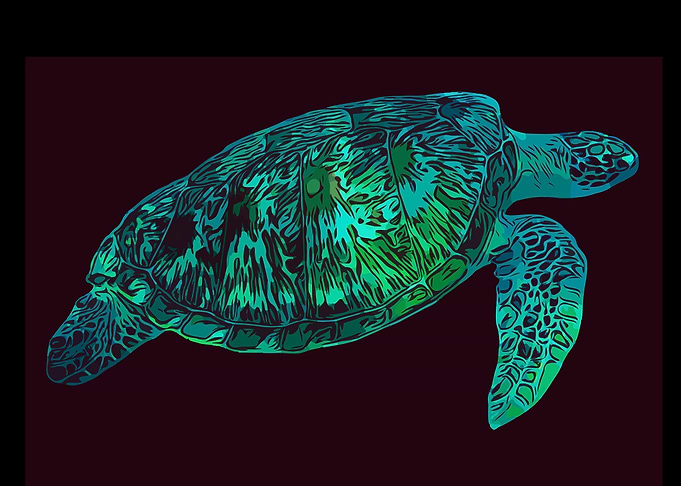 Green Sea Turtle