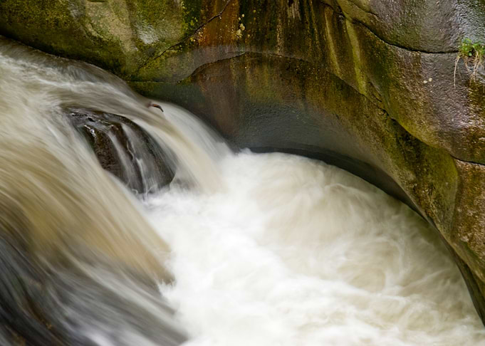 Beck Bode Bodetal Brook Ca