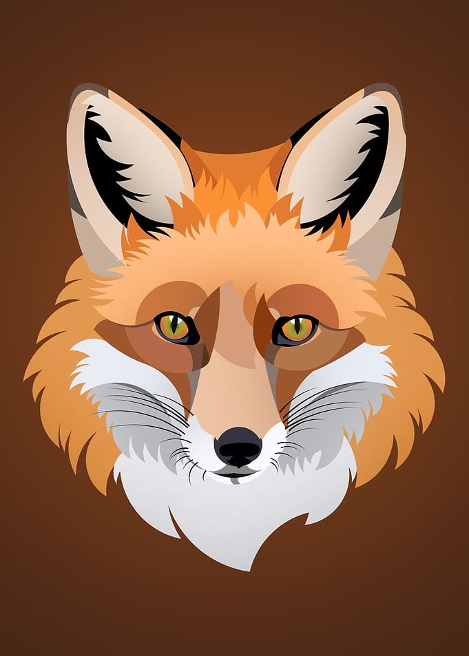 Red Fox Illustration