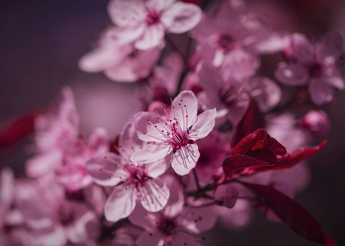 Spring arrived
