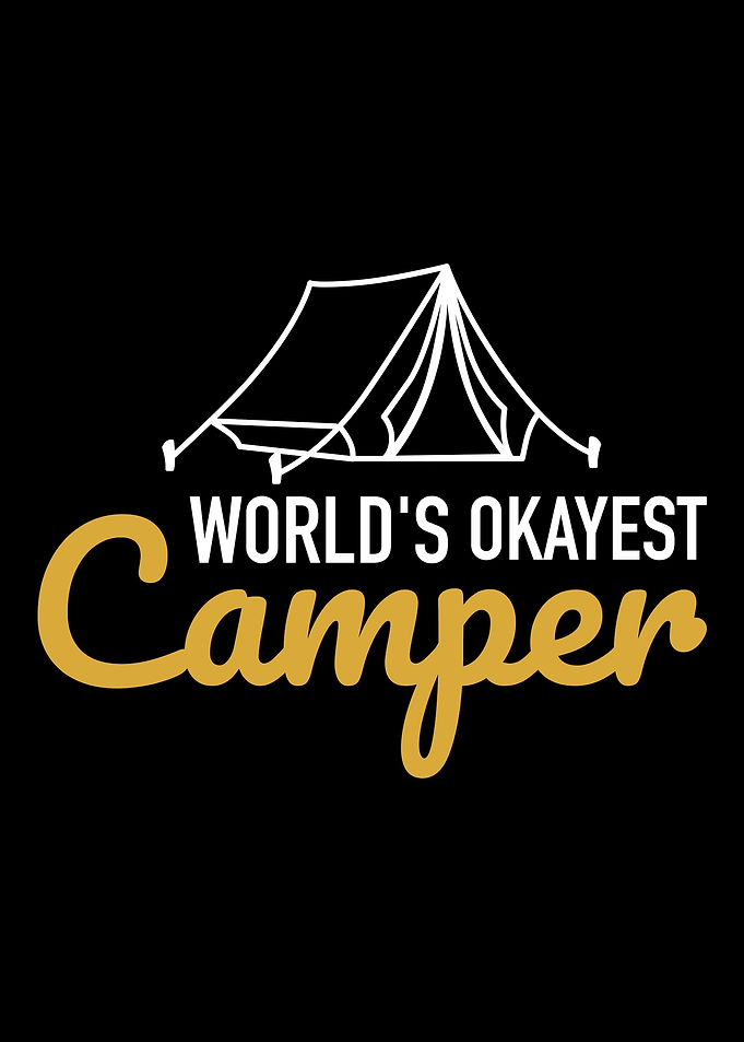 Worlds okayest camper cam