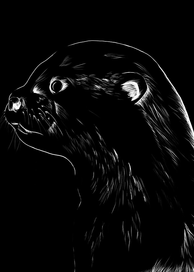 otter