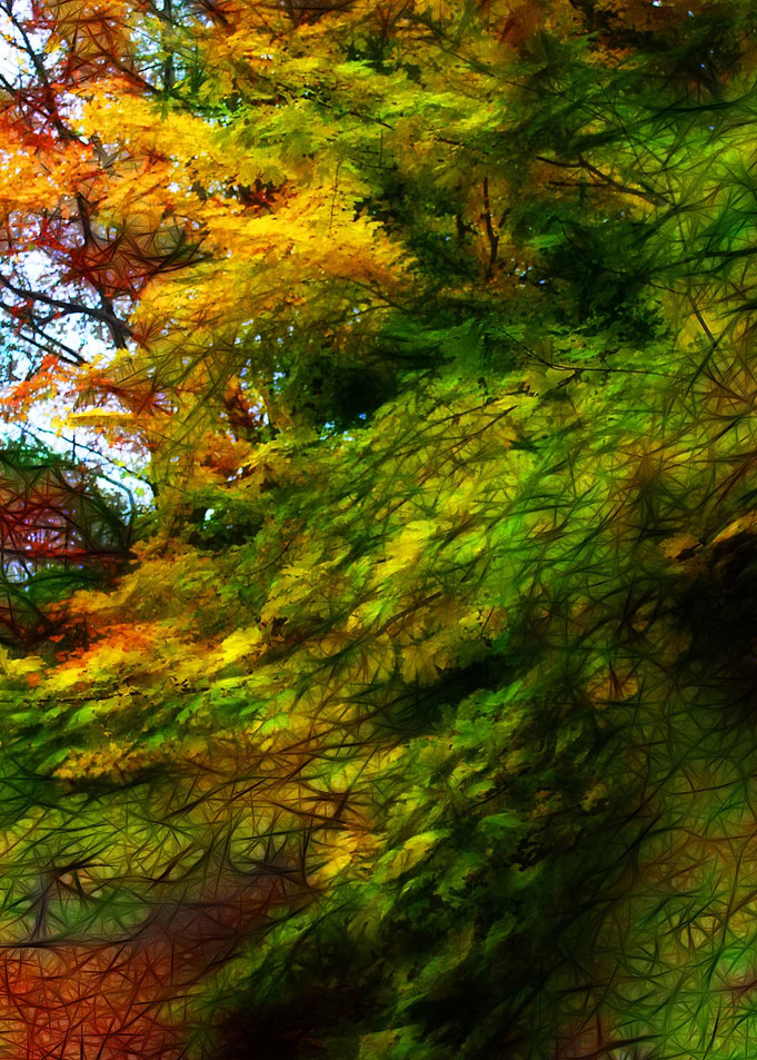 Fall Landscape
