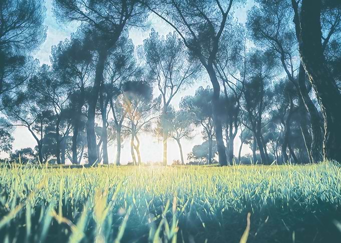Nature Painting