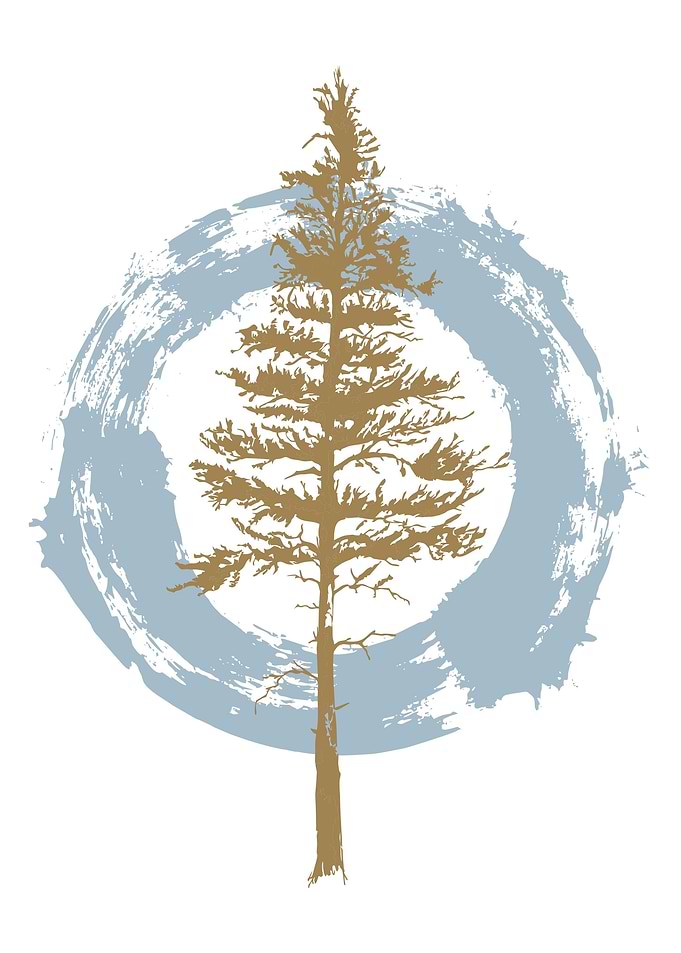 old pine