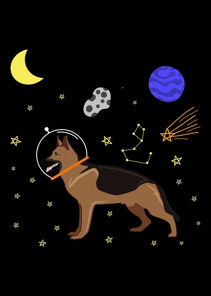 Astronaut Dog Dog Lover