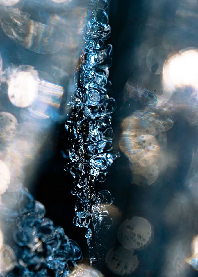 Macro Frozen Landscape 04