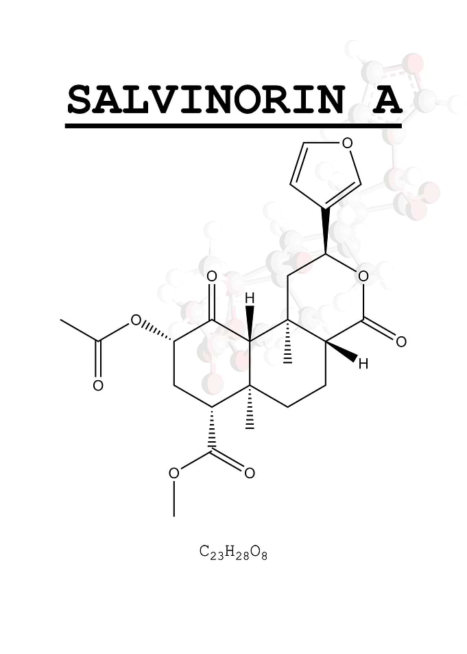 Salvinorin A