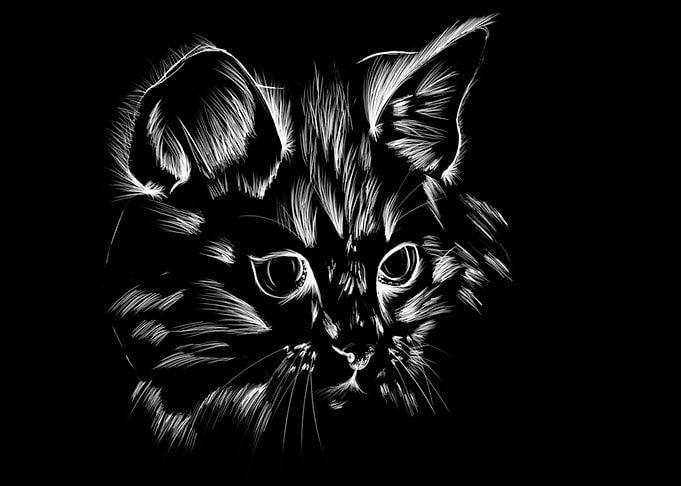 Chat