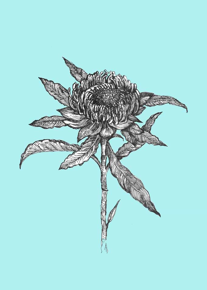 Flower Botanical Art