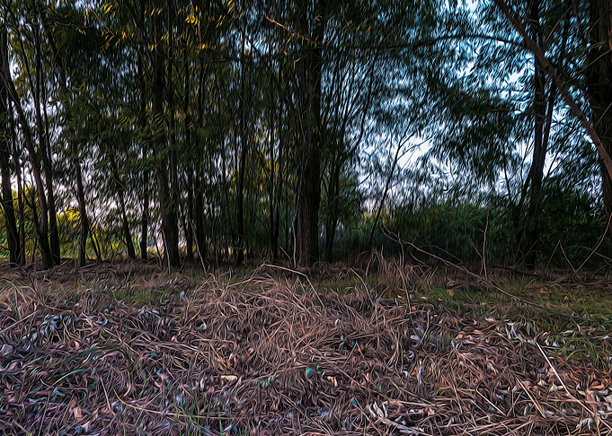 Fallow field in Lomellina