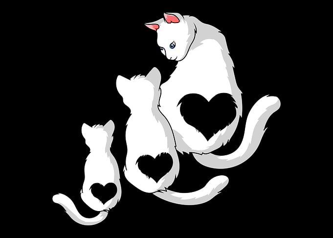 Cat Family Couples