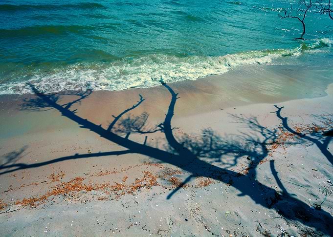 Background Baltic Beach Br