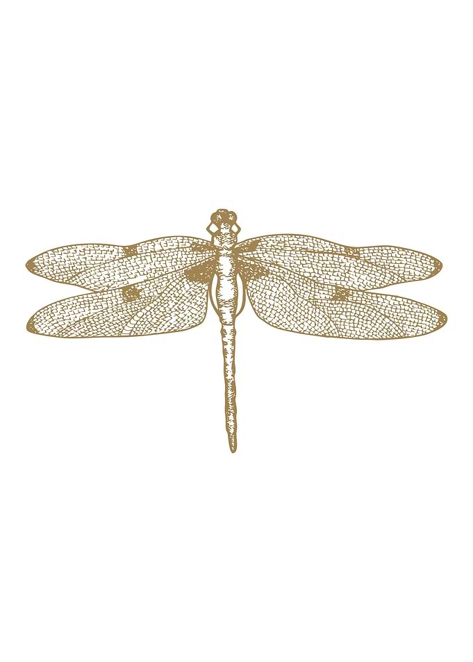 liblula