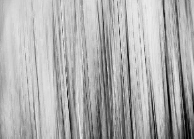 Fiber