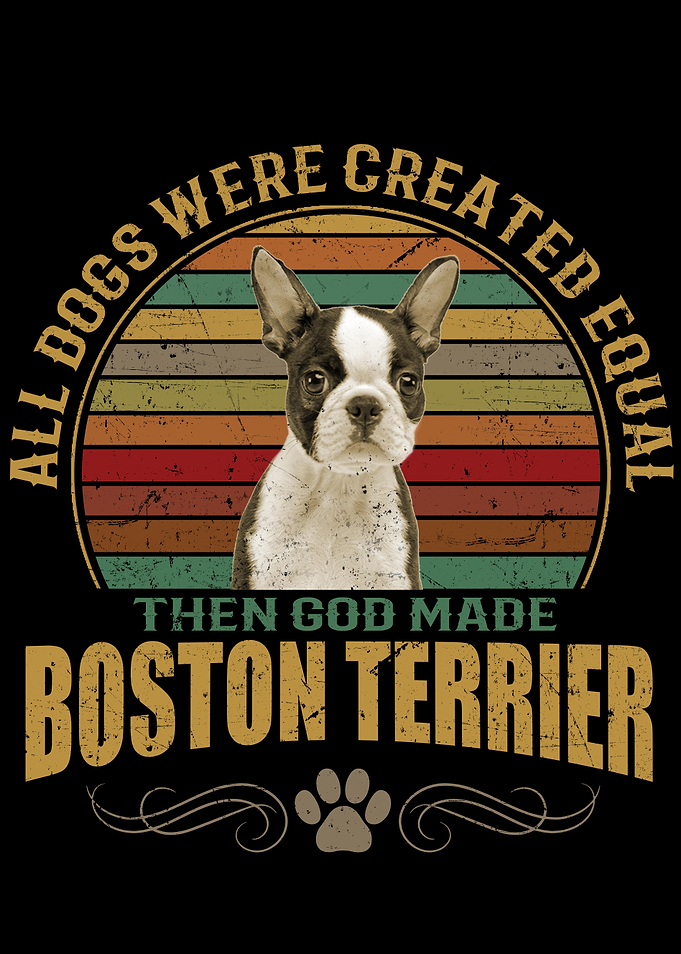 Boston Terrier